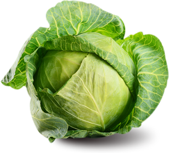 Cabbage, free PNGs