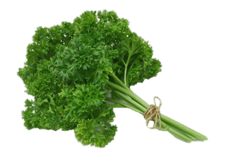 Herb PNG images