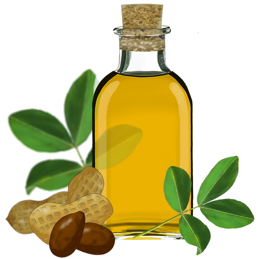 Sunflower oil PNG