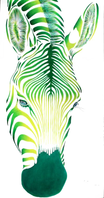 Zebra PNG images