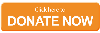 2cd43b_d5587d0bb61f44e9ac92c1e44d0c8324~mv2.png