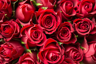 Cossy-romance-0039.jpeg