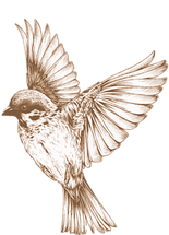 bird-1653865__340.png