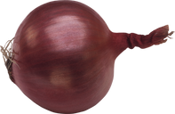 Onion, free PNGs