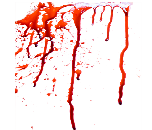 2cd43b_df521e4a25bc4d7c958ee4c62e4636f8~mv2.png