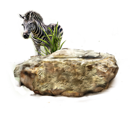 PNG images: Zebra