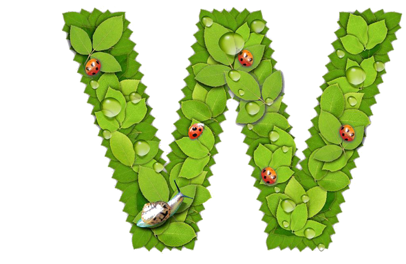 Letter W PNG