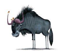 Bison (2).png