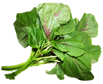 Amaranth-Leaves-PNG-image-2.png