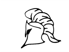 helmet-312149__340.png