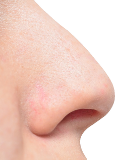 Nose PNG