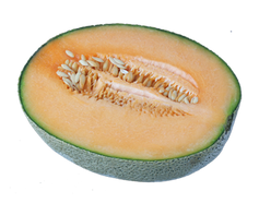 Melon PNG