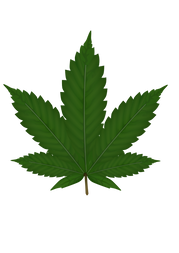 Green leaf, free PNGs