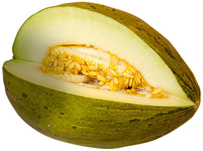 Melon PNG