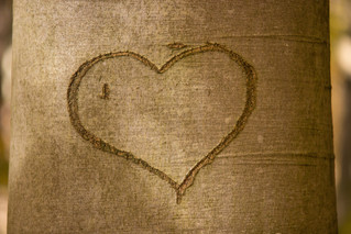 Cossy-romance-0051.jpeg