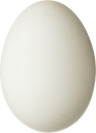 PNG images: Egg
