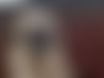 Vermittlungshilfe für Timko ❤