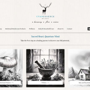 eCommerce Web Design