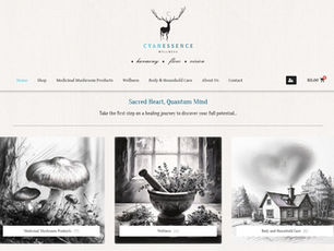 eCommerce Web Design