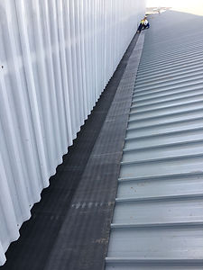 Box Gutters (1).JPG