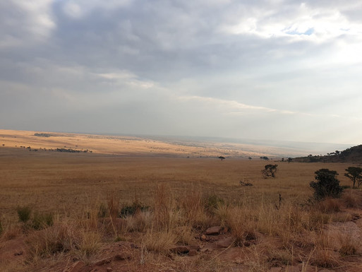 BH Grasslands 2 - Copy.jpeg