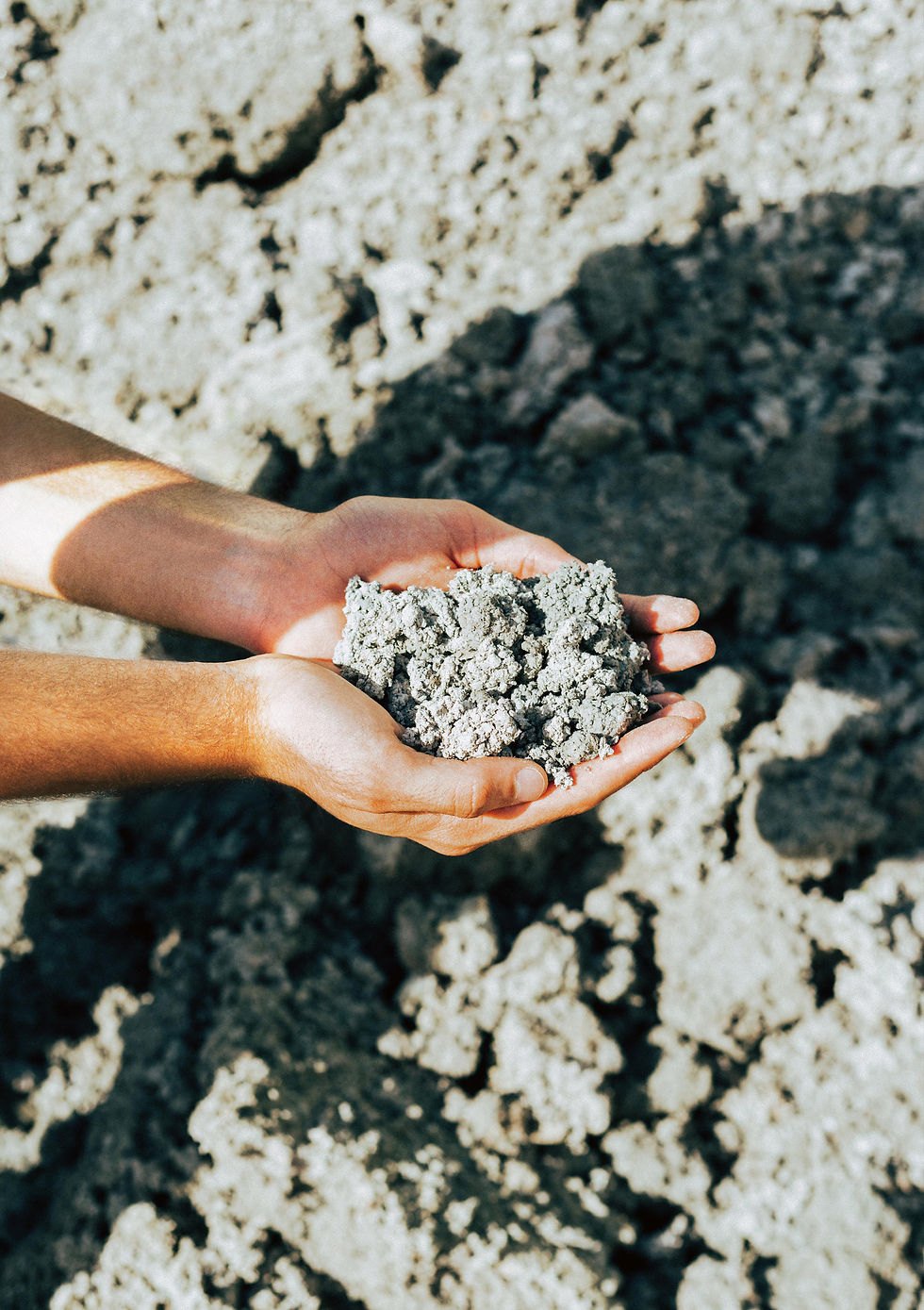 HONEXT® Raw Material_©MartaRiera_2.jpg