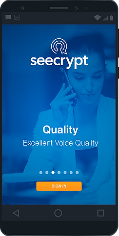 seecrypt1.png