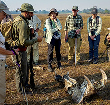 Trainee Guides discussing some animal tracks