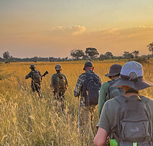 Trails group walking in Botswana Okavango Delta