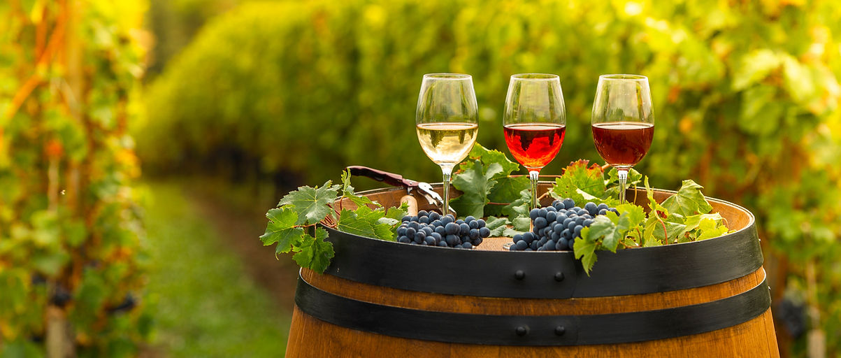 Pouring red wine into the glass, Barrel outdoor in Bordeaux Vineyard, France_edited.jpg