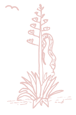 Untitled design (2).png