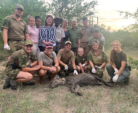 PNHF members removing snares that can kill wildlife