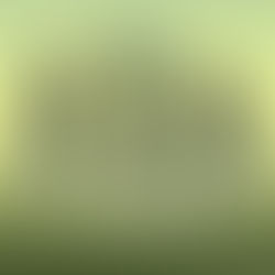 איתי טפרברג מ'עץ השדה' מספר על החברה המשפחתית: "החווה שלנו פתוחה למבקרים"