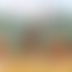 Una oda a las comadres, a las jirafas y a nuestras musas particulares