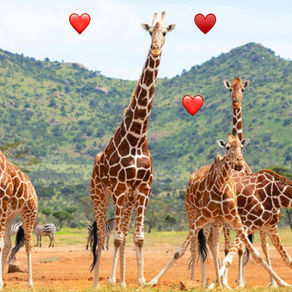 Una oda a las comadres, a las jirafas y a nuestras musas particulares