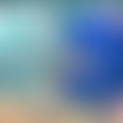 Hacia el próximo ciclo escolar: ¿pantuflas o tenis nuevos?