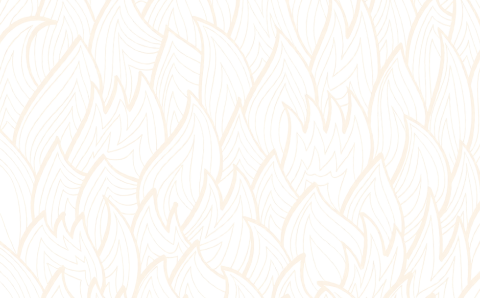 BackgroundEraser_20260107_141354715_edit