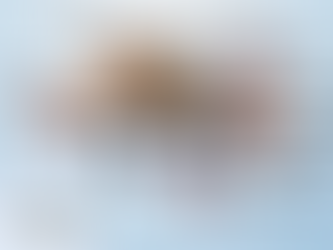 Wind Mitigation & 4 Point Inspections | Tie Down/ Engineering Inspection (Mobile Home), FL