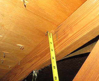 Local Home Inspection LLC, FL