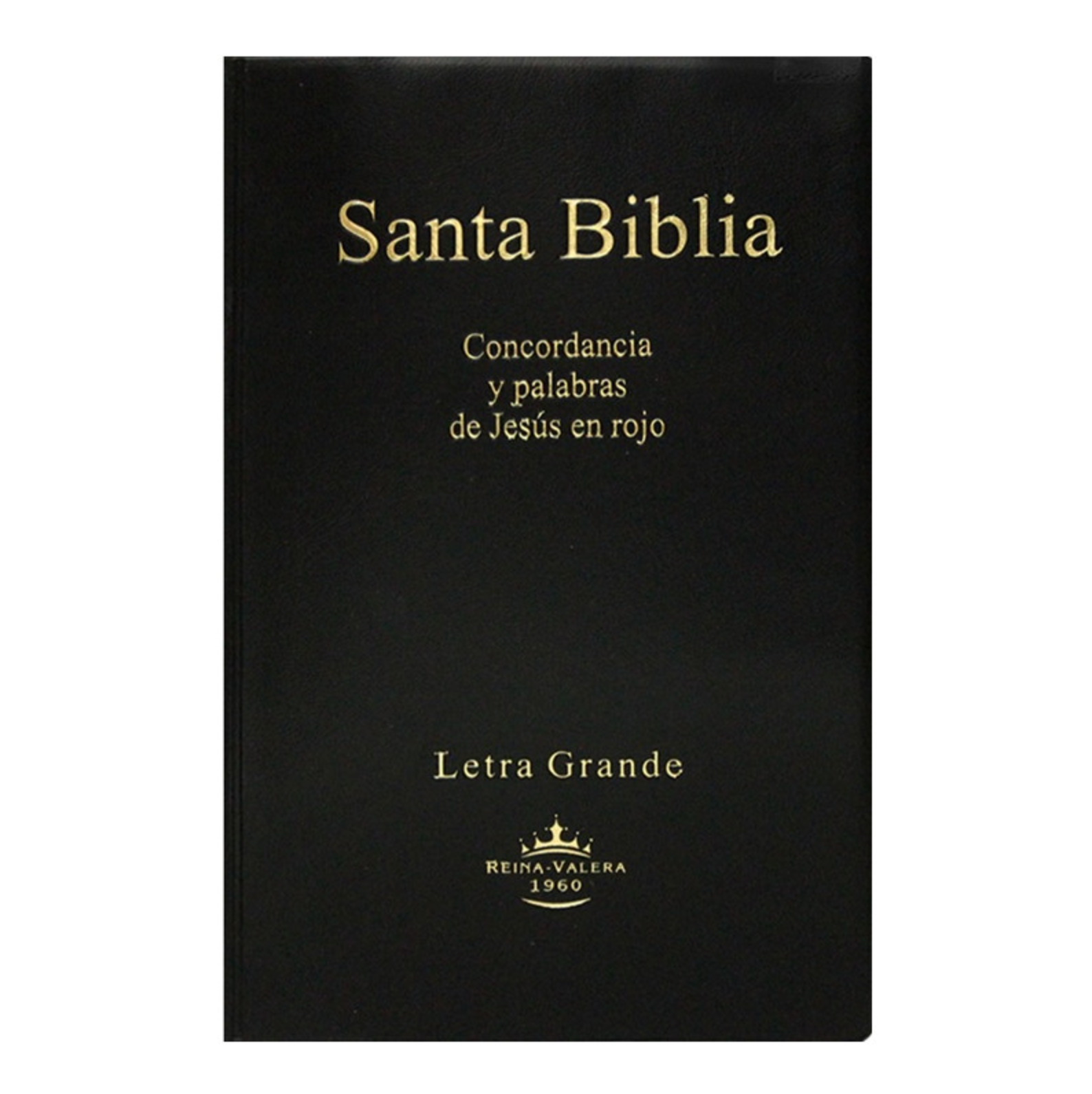 Biblia mediana letra grande RVR60 – Negra – Vinil