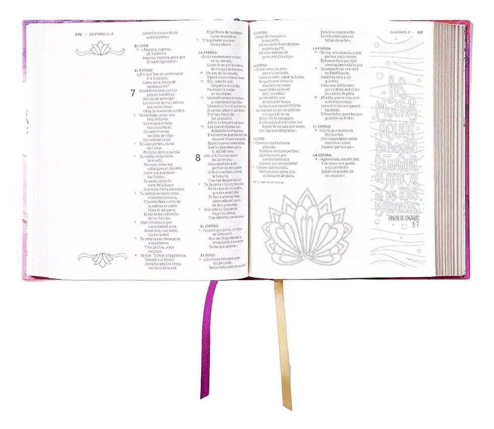 Miniatura: Biblia edición artística ilustrada NBLA – Tapa dura – Rosa