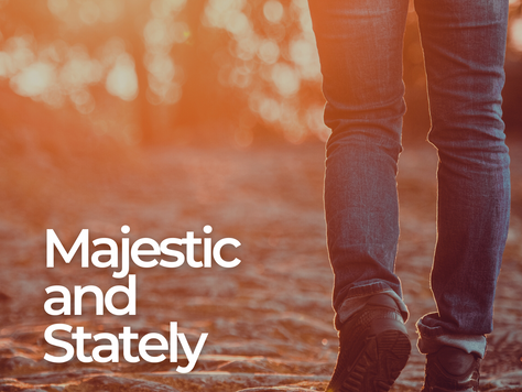Majestic and Stately