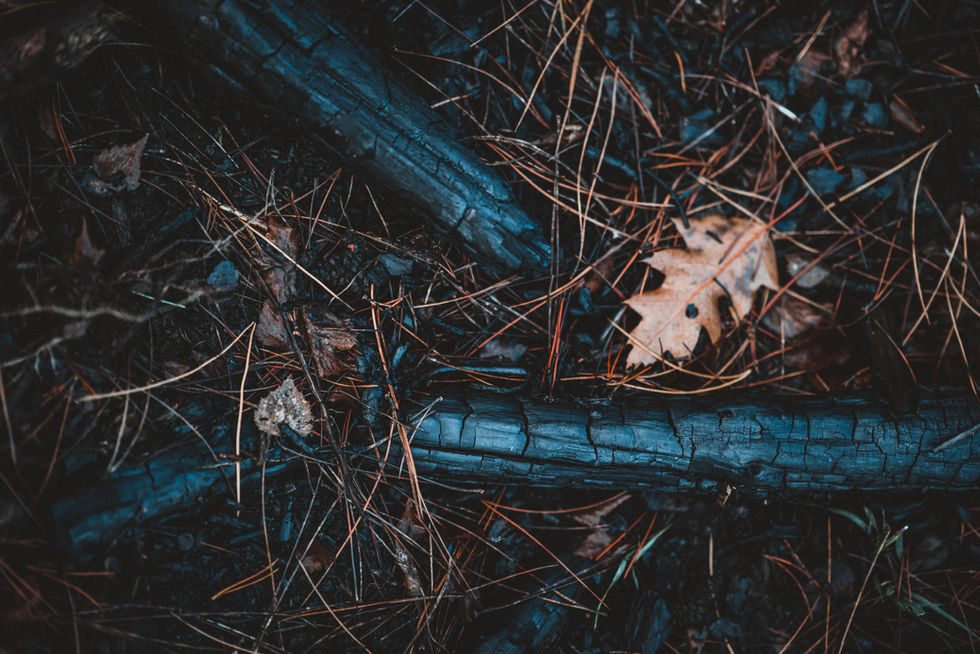 Am I On Fire or a Burning Ember? Part 1