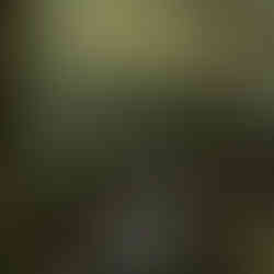 Smoky Mountain Waterfall