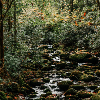 Smoky Mountain Waterfall