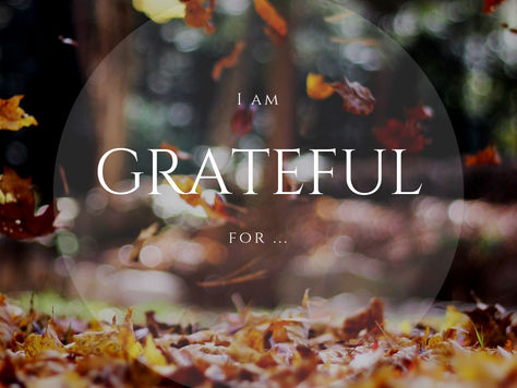 Giving Thanks - Day Two