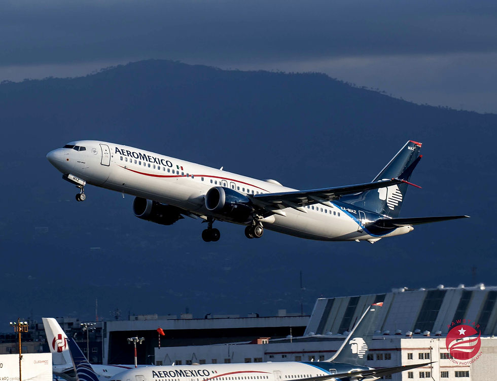 Aeromexico B737 MAX 8 - Will Lukas 