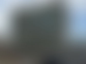 DEMOCRACIAS AJENAS PARA SISTEMAS VACÍOS