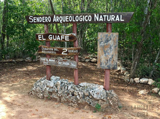 “EL GUAFE”: SENDERO ARQUEOLÓGICO NATURAL EN EL ORIENTE CUBANO