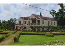 Central Jaronú